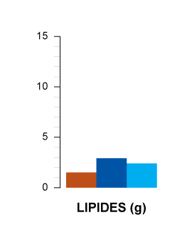 lipides