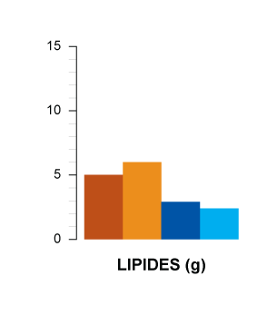 lipides