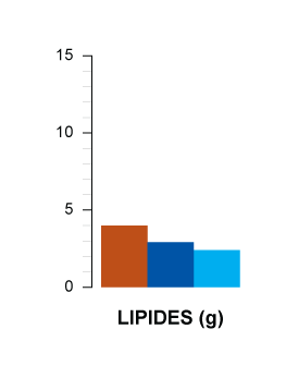 lipides