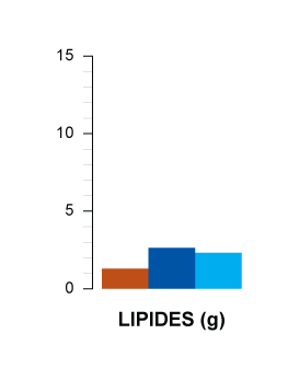 lipides