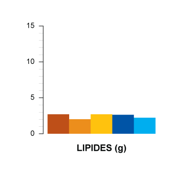 lipides