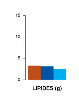 lipides