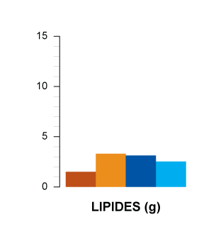 lipides