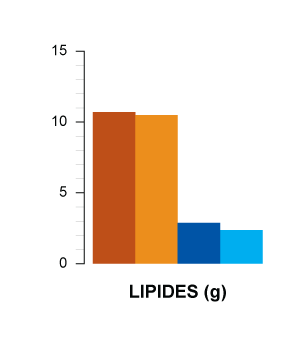 lipides