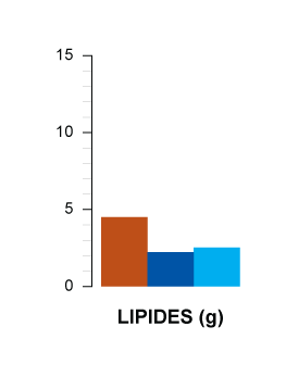 lipides