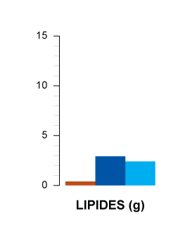 lipides