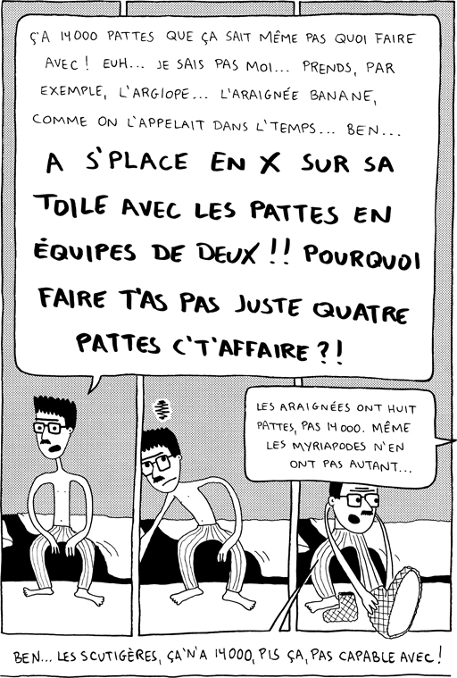 bande dessinée sur les araignées - 2