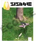 couverture Zizinne conne volume 1 numéro 1